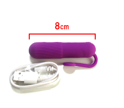 ���Υ������Ǥ���