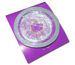 ����ɡ���ȥ��������Υ��åȤǤ���